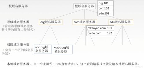 計(jì)算機(jī)網(wǎng)絡(luò)體系結(jié)構(gòu)與應(yīng)用層服務(wù)